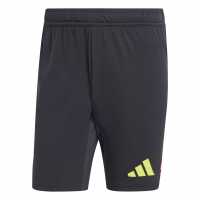 Adidas Football Shorts  