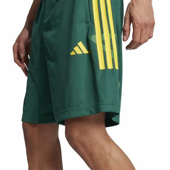 Adidas House Of Tiro Nations Pack Shorts Adults Зелено/Златно/Зелено Мъжки къси панталони