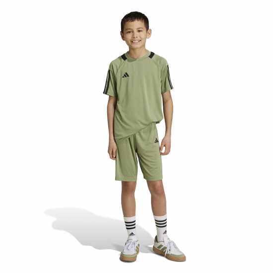 Детски къси панталони Adidas Дамски Къси Шорти За Тренировка Sereno Training Shorts Juniors Зелен палатка Adidas Дамски Къси Шорти За Тренировка Sereno Training Shorts Juniors Зелен палатка Детски къси панталони