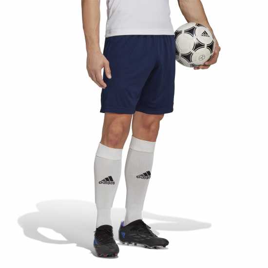 Мъжки къси панталони Adidas Дамски Къси Шорти За Тренировка Entrada 22 Training Shorts Mens Морска синьо Adidas Дамски Къси Шорти За Тренировка Entrada 22 Training Shorts Mens Морска синьо Мъжки къси панталони