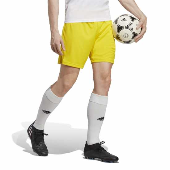 Мъжки къси панталони Adidas Мъжки Шорти Entrada 22 Shorts Mens отбор жълто Adidas Мъжки Шорти Entrada 22 Shorts Mens отбор жълто Мъжки къси панталони