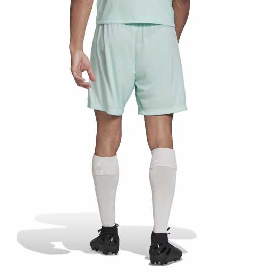 Adidas Мъжки Шорти Entrada 22 Shorts Mens Mint Мъжки къси панталони