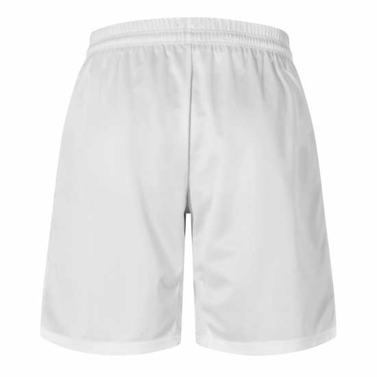 Puma (5) Fb Team Shorts With Brief Mens  