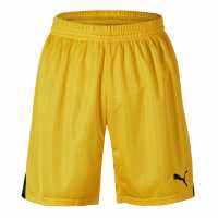 Puma (F15) Swim Team Shorts With Innerbr Mens  