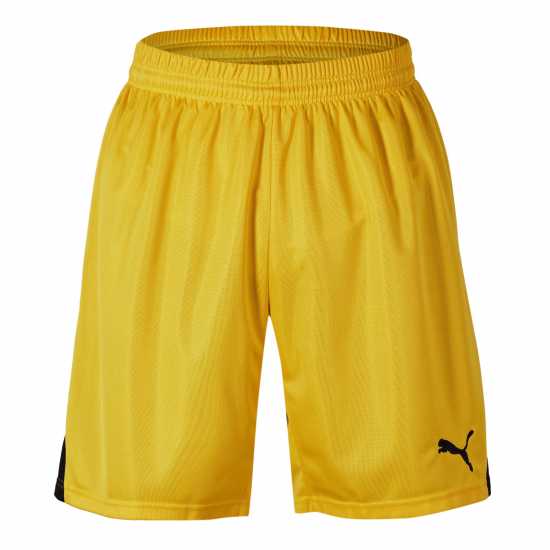 Puma (F15) Swim Team Shorts With Innerbr Mens  
