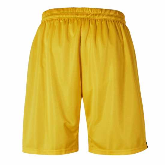 Puma (F15) Swim Team Shorts With Innerbr Mens  