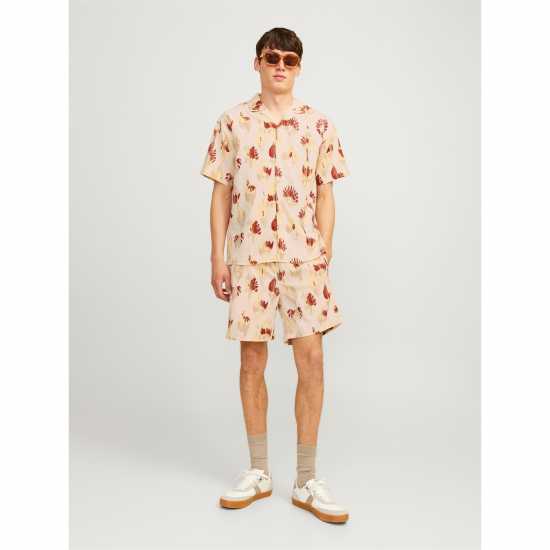 Jack And Jones Jaq Short Sn99 Лунна лъчина Мъжки къси панталони