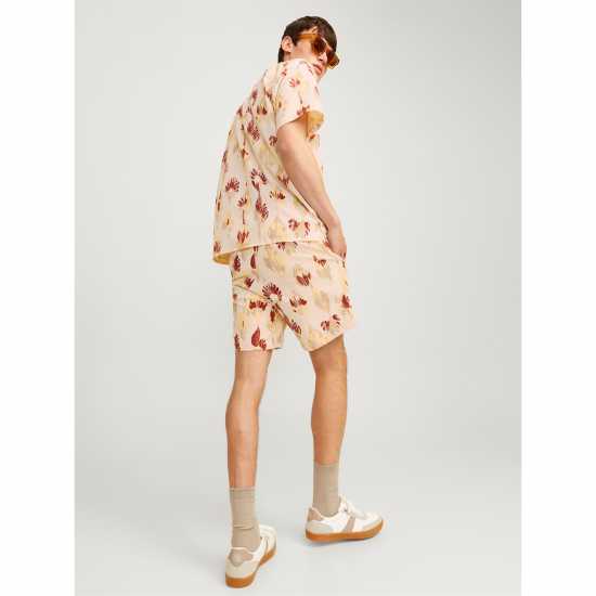 Jack And Jones Jaq Short Sn99 Лунна лъчина Мъжки къси панталони