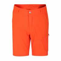 Dare2B Dare 2B Reprisiishort Jn99 След пламък Детски къси панталони