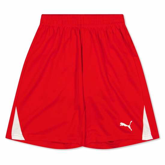 Puma (3) Fb Team Shorts With Brief Juniors  