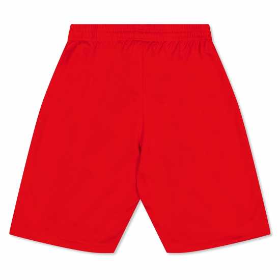 Puma (3) Fb Team Shorts With Brief Juniors  