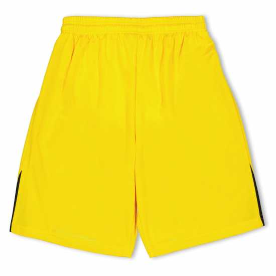 Puma (F1) Fb Team Shorts With Brief Juniors Yellow 