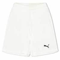 Puma (F3) Fb Team Shorts With Brief Juniors  
