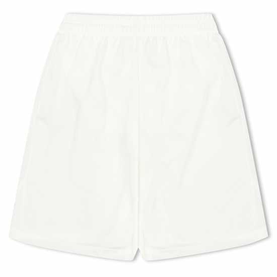 Puma (F3) Fb Team Shorts With Brief Juniors  