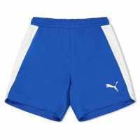 Puma Детски Шорти Boy (Fb) Evospeed Indoor Shorts Juniors Blue 