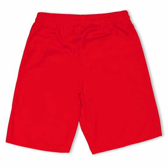 Puma (F3) Fb Team Shorts With Brief Juniors Red Puma (F3) Fb Team Shorts With Brief Juniors Red