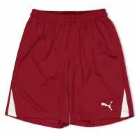 Puma (F3) Fb Team Shorts With Brief Juniors Red Puma (F3) Fb Team Shorts With Brief Juniors Red
