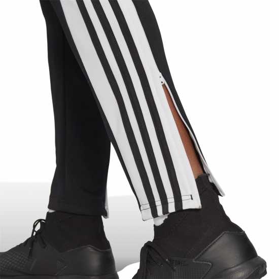 Adidas Squadra Pant  
