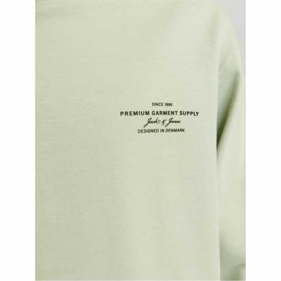 Jack And Jones Jack Crw Neck Sweat Sn99 Aqua Gray 