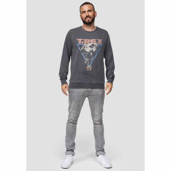 Jurassic Park Park Sweater 99 Т-Рекс 1993 
