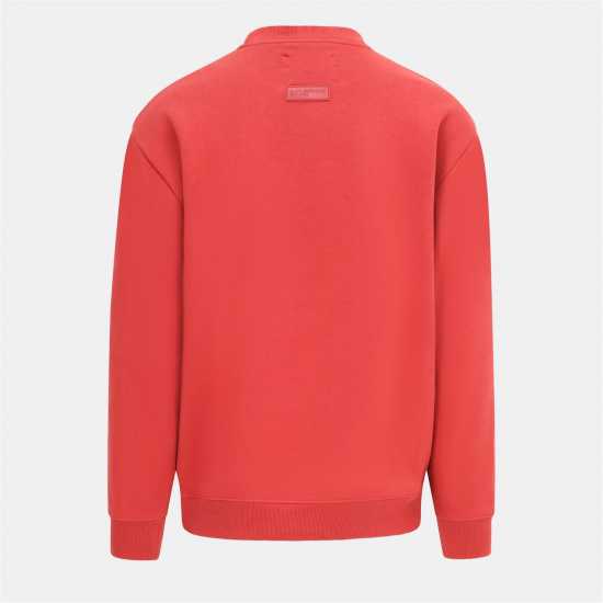 Blank Essentials Essentials Arch Sweatshirt Spice Red Мъжки горнища на анцуг