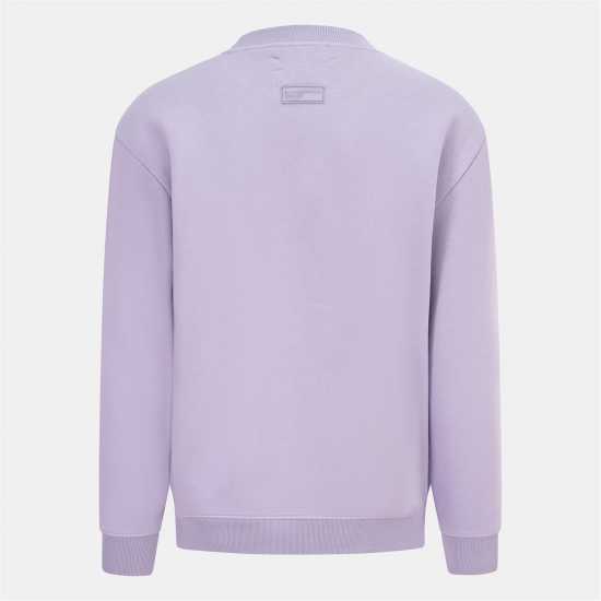 Blank Essentials Essentials Arch Sweatshirt violet Мъжки горнища на анцуг