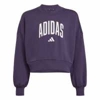 Adidas Clgt Ft Swt Jn61  Детски горнища и пуловери