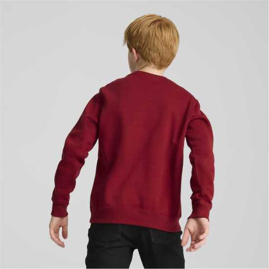 Puma Unisex Kids' Squad Crew Sweatshirt Интензивно червен 