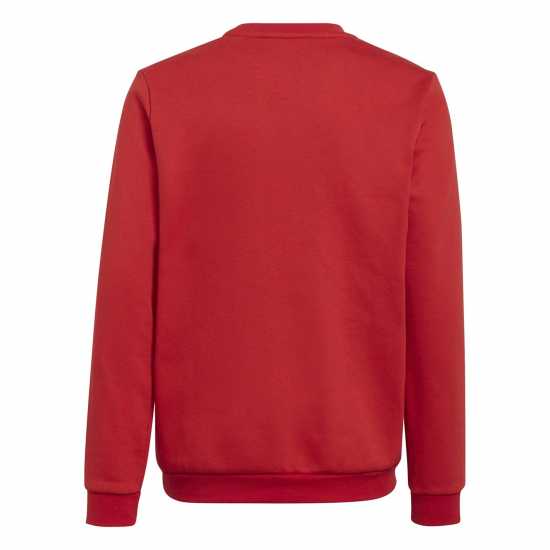 Adidas Ent22 Sweater Juniors  