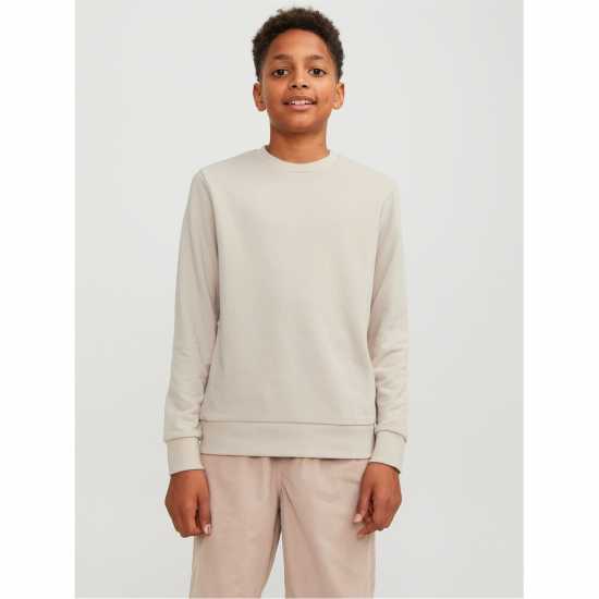 Jack And Jones Bradley Crew Sweatshirt Лунна лъчина 