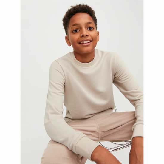 Jack And Jones Bradley Crew Sweatshirt Лунна лъчина 