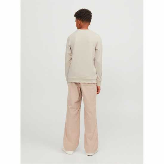 Jack And Jones Bradley Crew Sweatshirt Лунна лъчина 