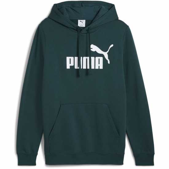 Puma No1 Oth Hoodie Mens Green Terrain 