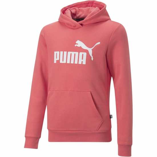 Puma Essential Logo Hoodie.  Детски суитчъри и блузи с качулки