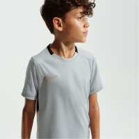 Nike Academy Top Juniors Grey/Gold 