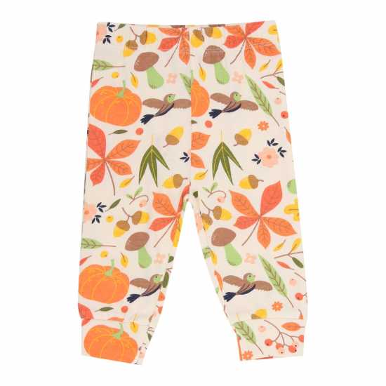 Lilly And Sid Pumpkin Flip Top And Legging Set  