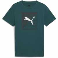 Puma Graphics Tee 1 B T-Shirt Unisex Kids Зелено Детски тениски и фланелки