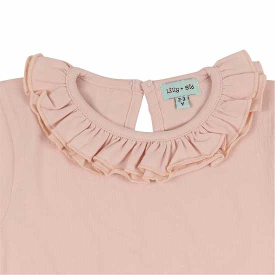 Regular Fit Plain T-Shirt  