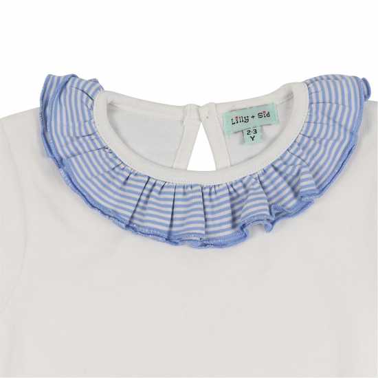 Regular Fit Plain T-Shirt  