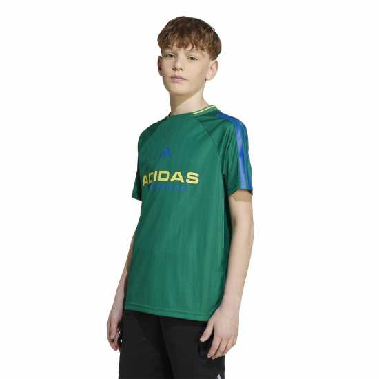 Adidas House Of Tiro T-Shirt Juniors Зелено Adidas House Of Tiro T-Shirt Juniors Зелено