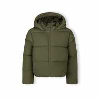 Short Puffer Jn99  