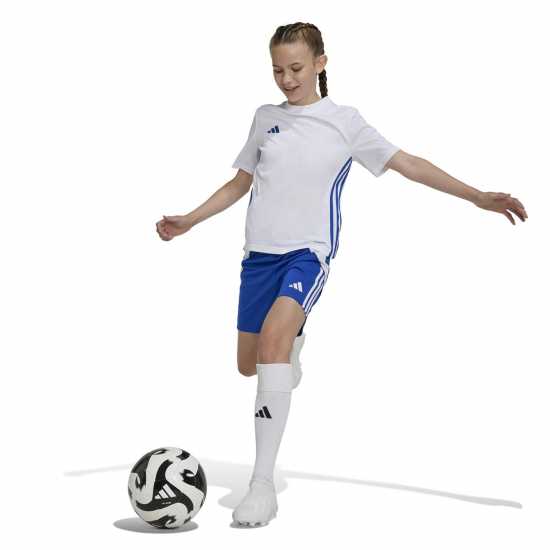 Детски тениски и фланелки Adidas Tabela 23 Jersey Juniors Бяло/Кралско синьо Adidas Tabela 23 Jersey Juniors Бяло/Кралско синьо Детски тениски и фланелки