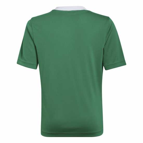Adidas Ent22 T-Shirt Junior Green/White Детски тениски и фланелки