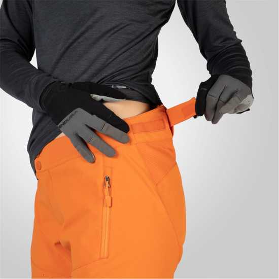 Mt500Brnpnt Ld99 Mt500Brnpnt Ld99