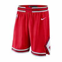 Nike Heat Icon Edition Men's Nike NBA Swingman Shorts