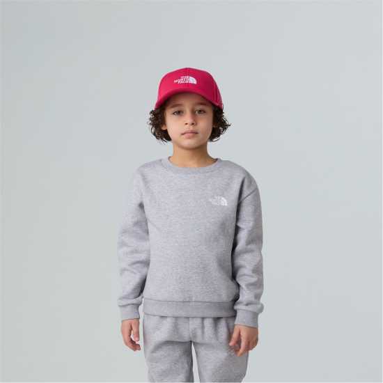 The North Face Simple Dome Fleece Tracksuit Unisex Childs L Grey Heather 