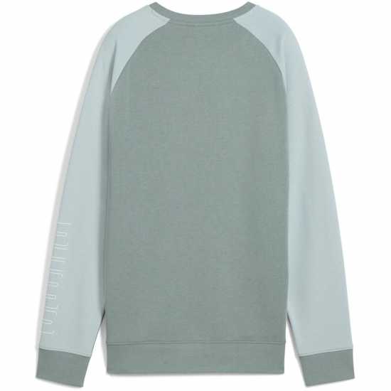 Дамски пуловери Puma Sport Crew Swtr Ld99 Зелена Луна Puma Sport Crew Swtr Ld99 Зелена Луна Дамски пуловери