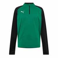 Puma Teamliga 1/4 Zip Top  