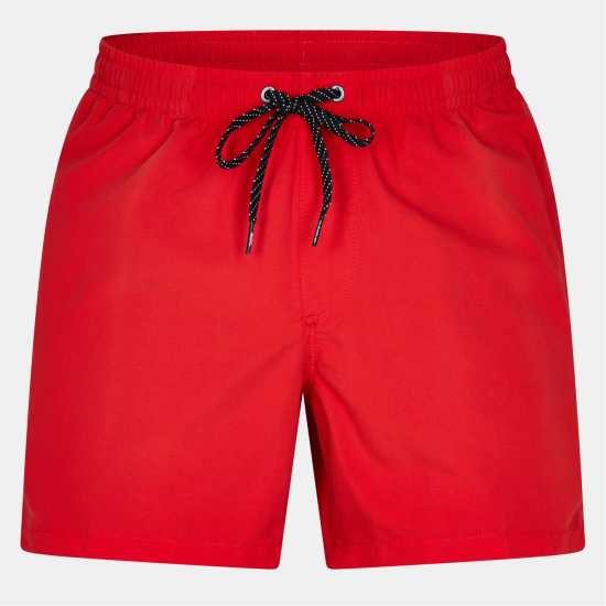 Quiksilver Everyday Volley 15 Quiksilver Everyday Volley 15