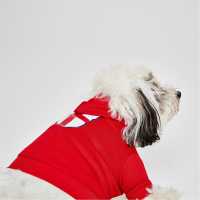 Team Dog Coat Hoodie Eng Red Коледни пуловери